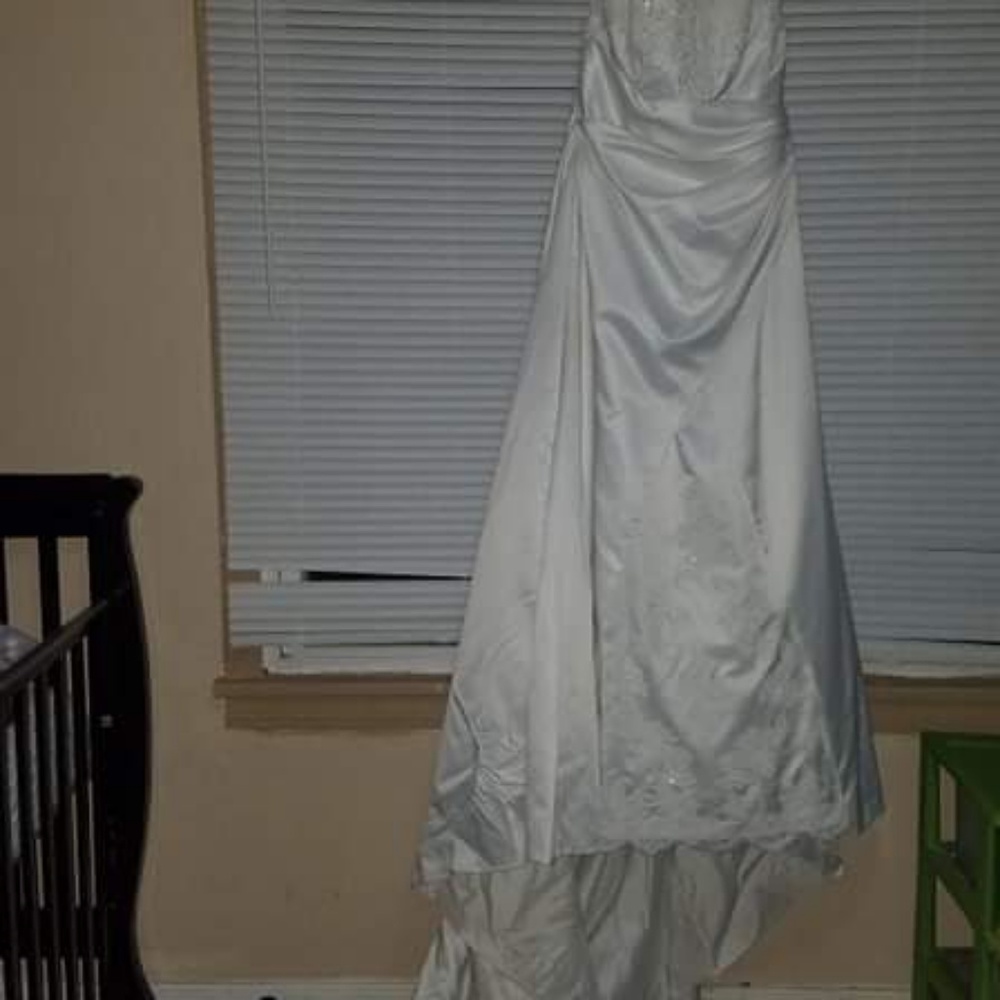 Gorgeous David's Bridal wedding dress